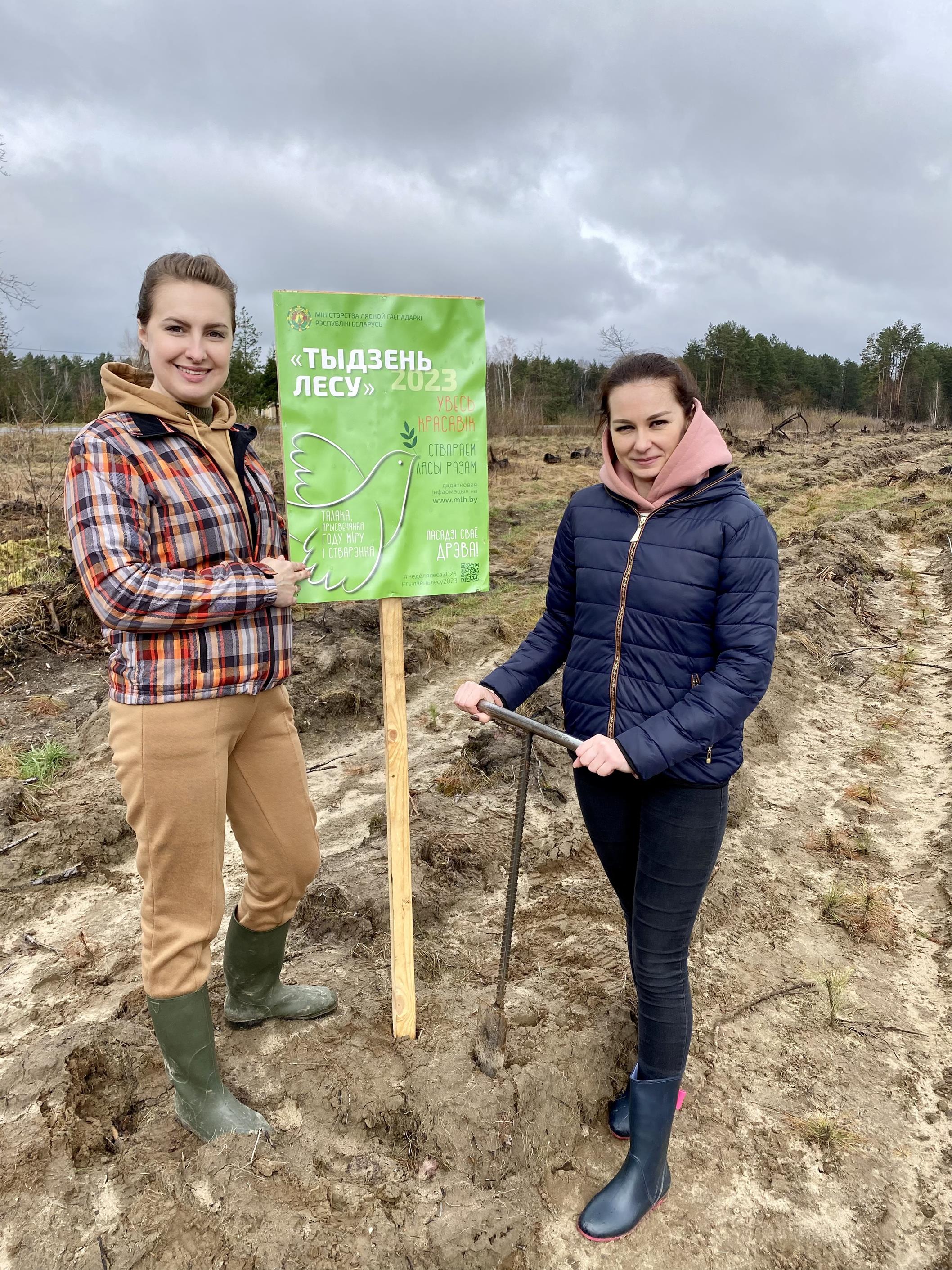 Республиканская добровольная акция «Неделя леса – 2023»