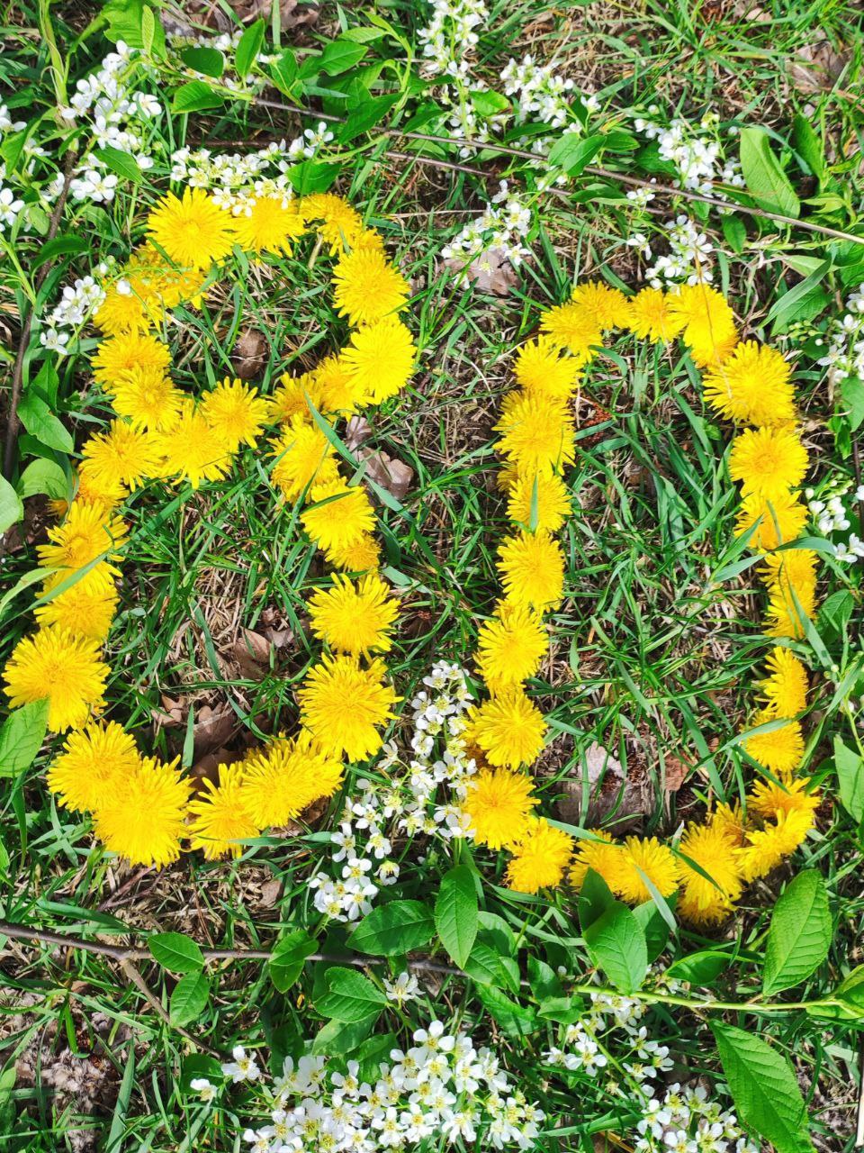 Брестская областная инспекция присоединяется к челленджу "80 мирных лет. 80 символов Беларуси"